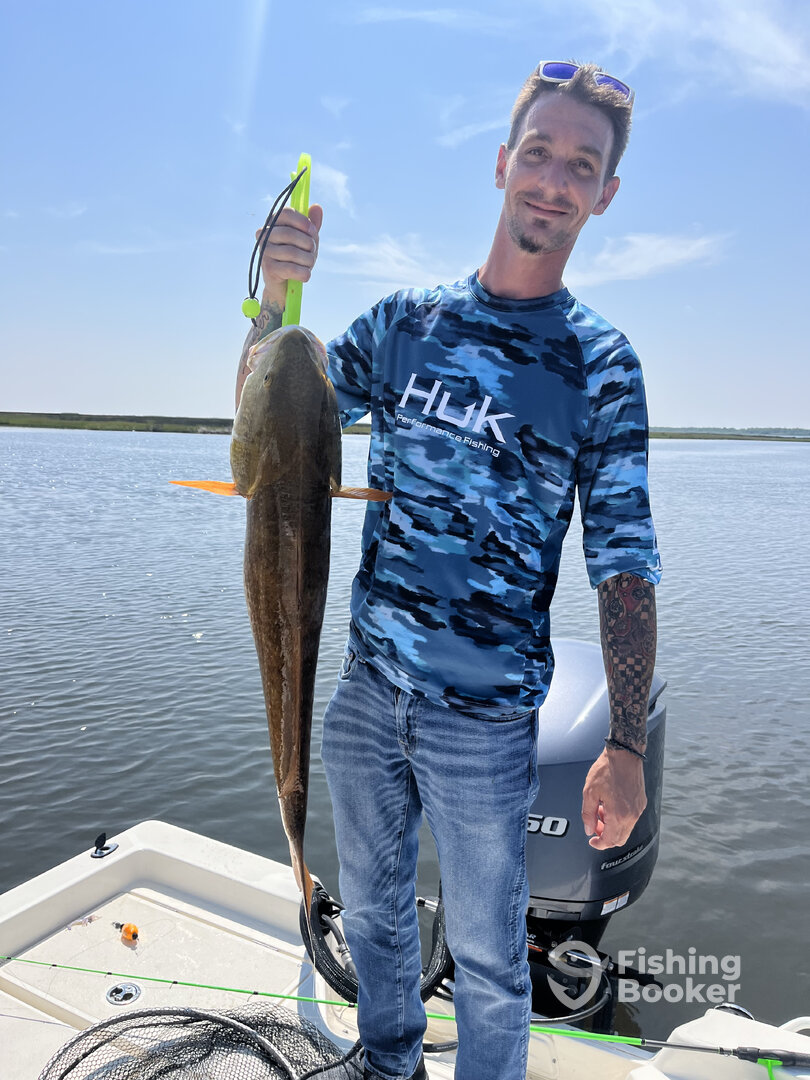 St. Bernard Report Photo 0