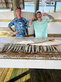 St. Bernard Report Photo 1