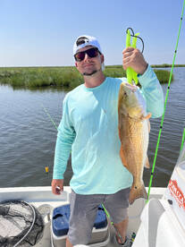 St. Bernard Report Photo 2