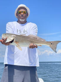 Tampa Report Photo 2