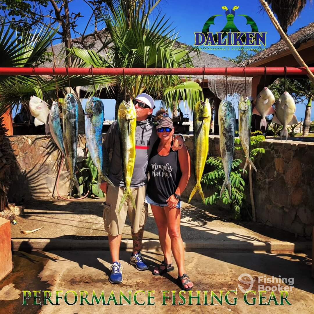 San Jose del Cabo Report Photo 0