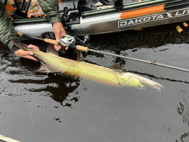 Saranac Lake Report Photo 4