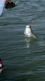 Venice Report Photo 1