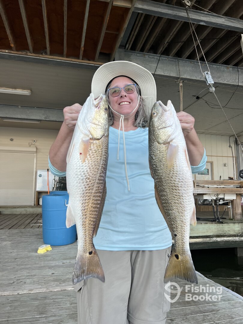 Venice Report Photo 0