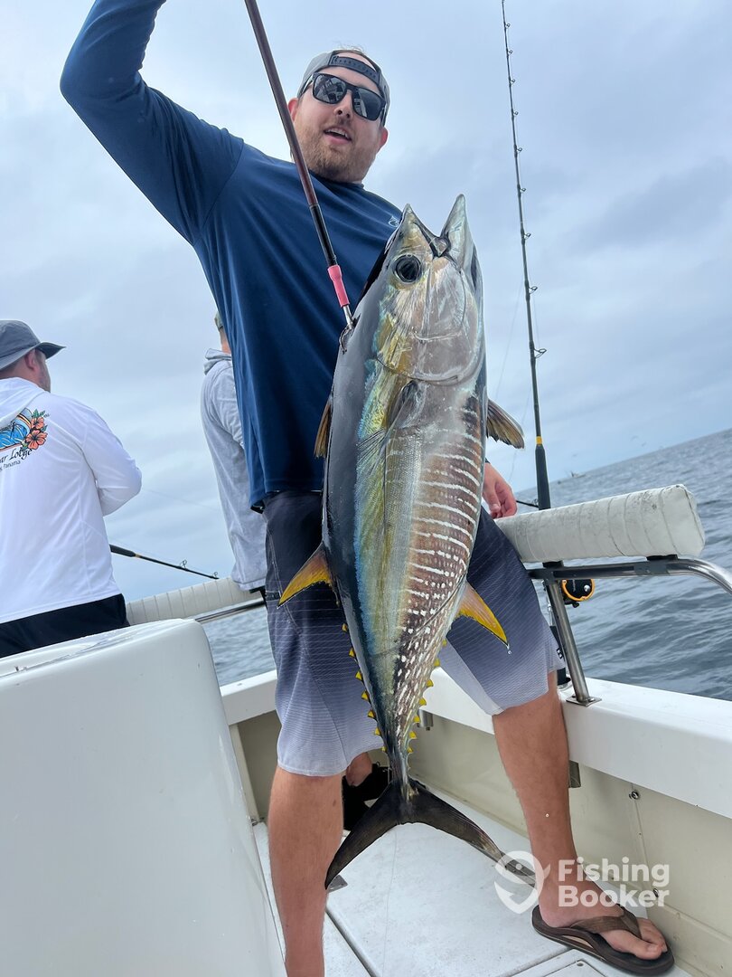 San Diego Report Photo 0