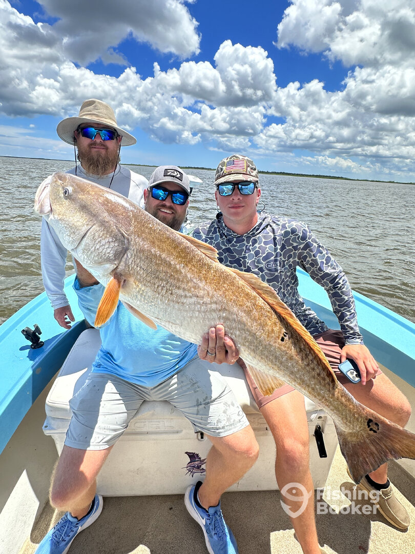 Darien Report Photo 0