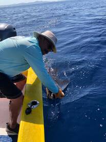 Playa Flamingo Report Photo 1