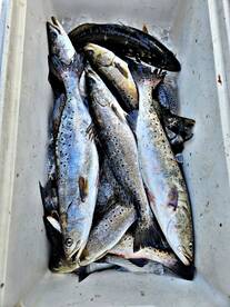 Georgetown Report Photo 2