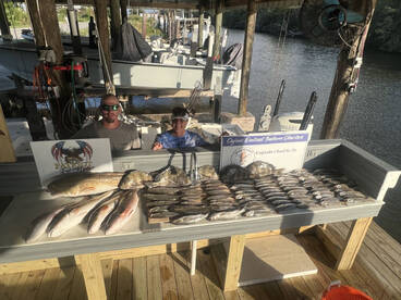 St. Bernard Report Photo 2