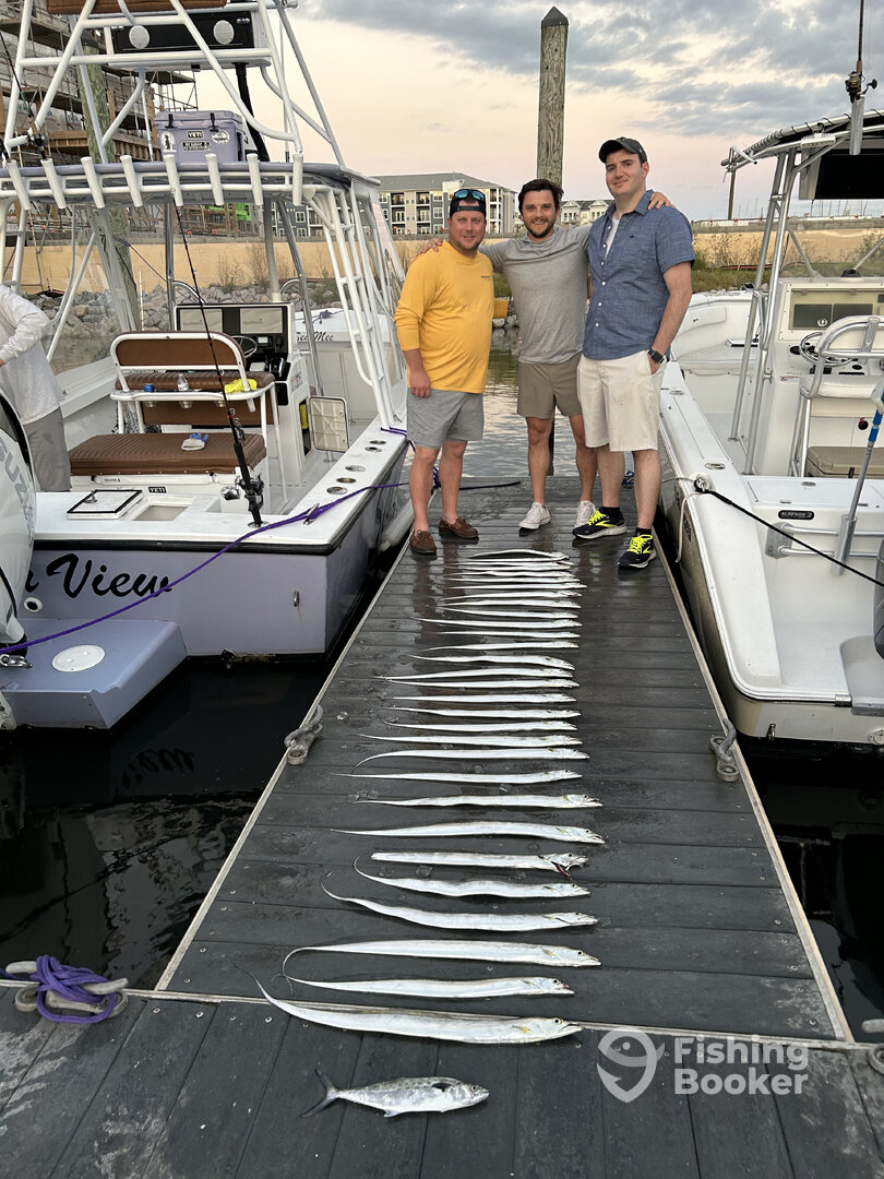 Norfolk Report Photo 0