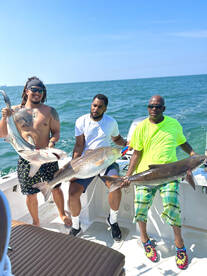 Shark Red Drum and Cobia 