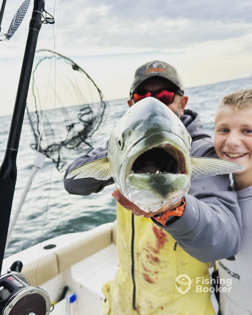 Clinton Report Photo 0