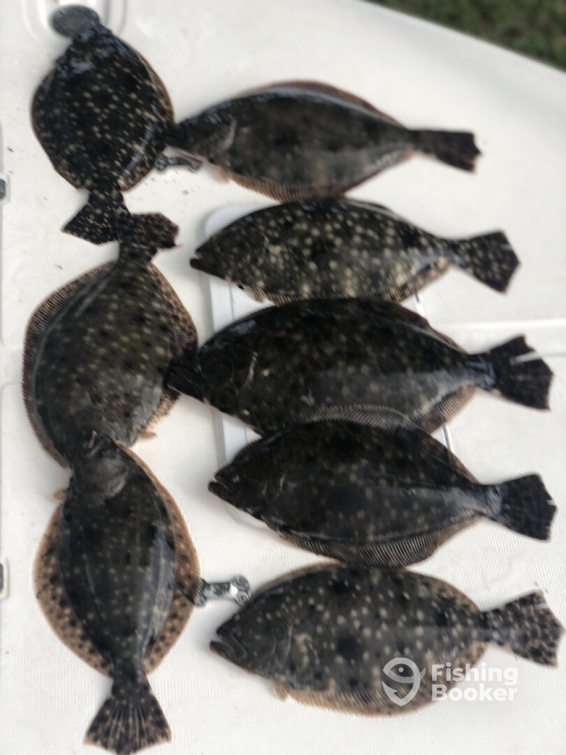 Jacksonville Report Photo 0