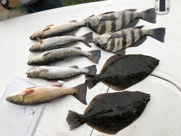 Jacksonville Report Photo 2