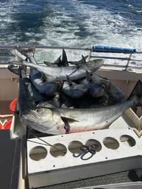 Montauk Report Photo 2