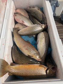 Olcott Report Photo 2