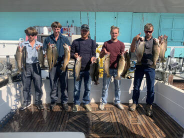 Not over til it’s over!!!!