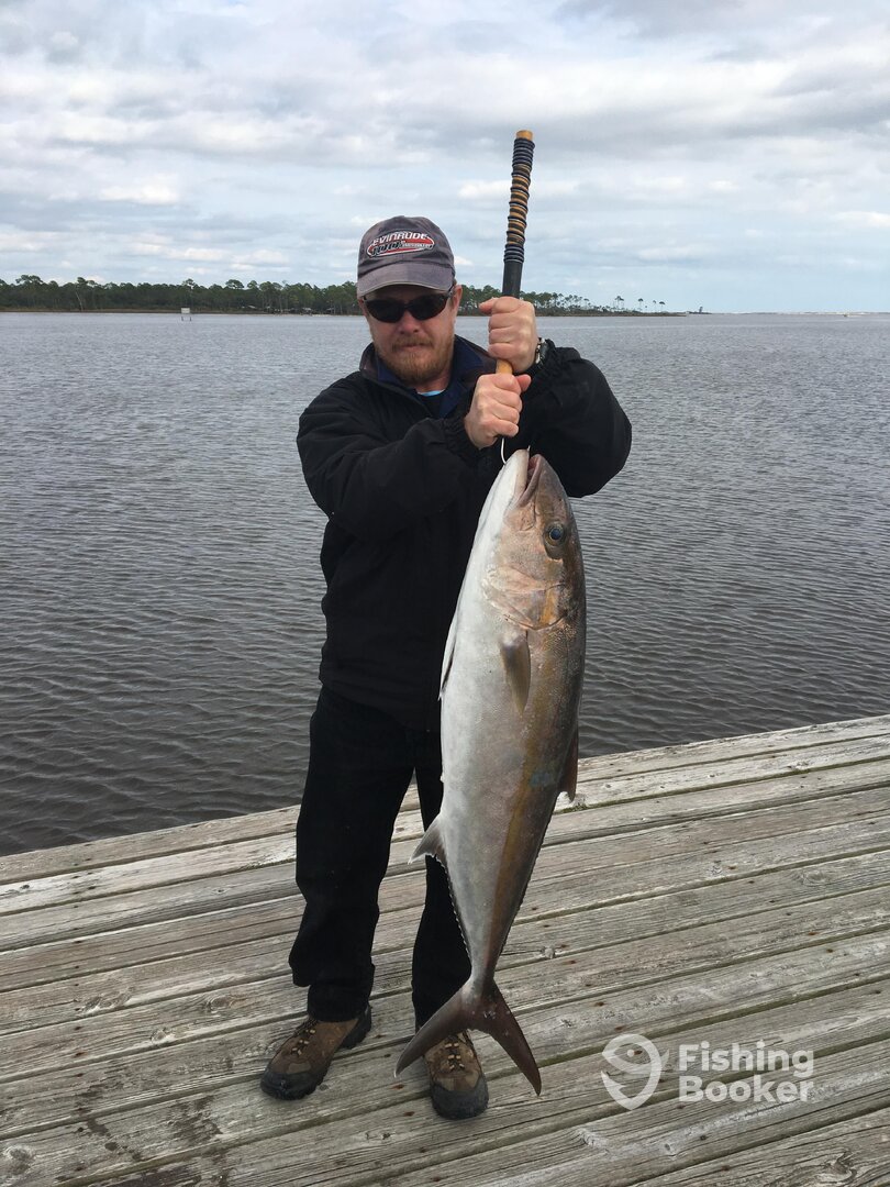 Nice Amberjack!!!