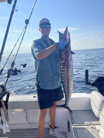 Shalimar Report Photo 2