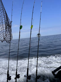 Mentor Report Photo 1