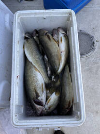 Mentor Report Photo 2