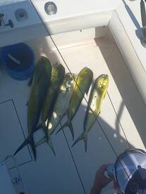 September 12 trip 5 for 5