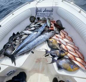 North Myrtle Beach Report Photo 2