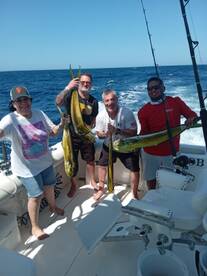 6 for 6 Dorados Mahi Mahi 