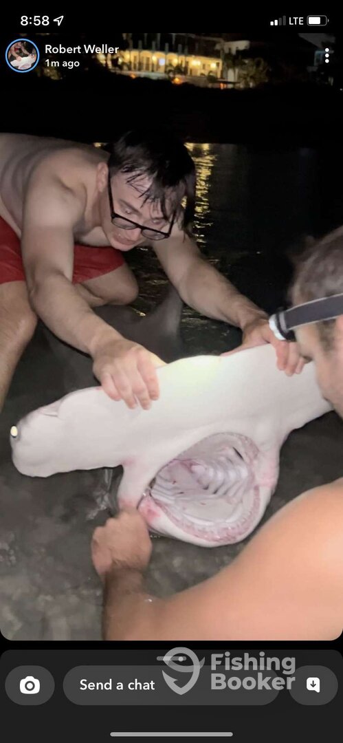 St. Pete Beach Report Photo 0