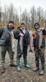 Come get your King and Coho Salmon on th