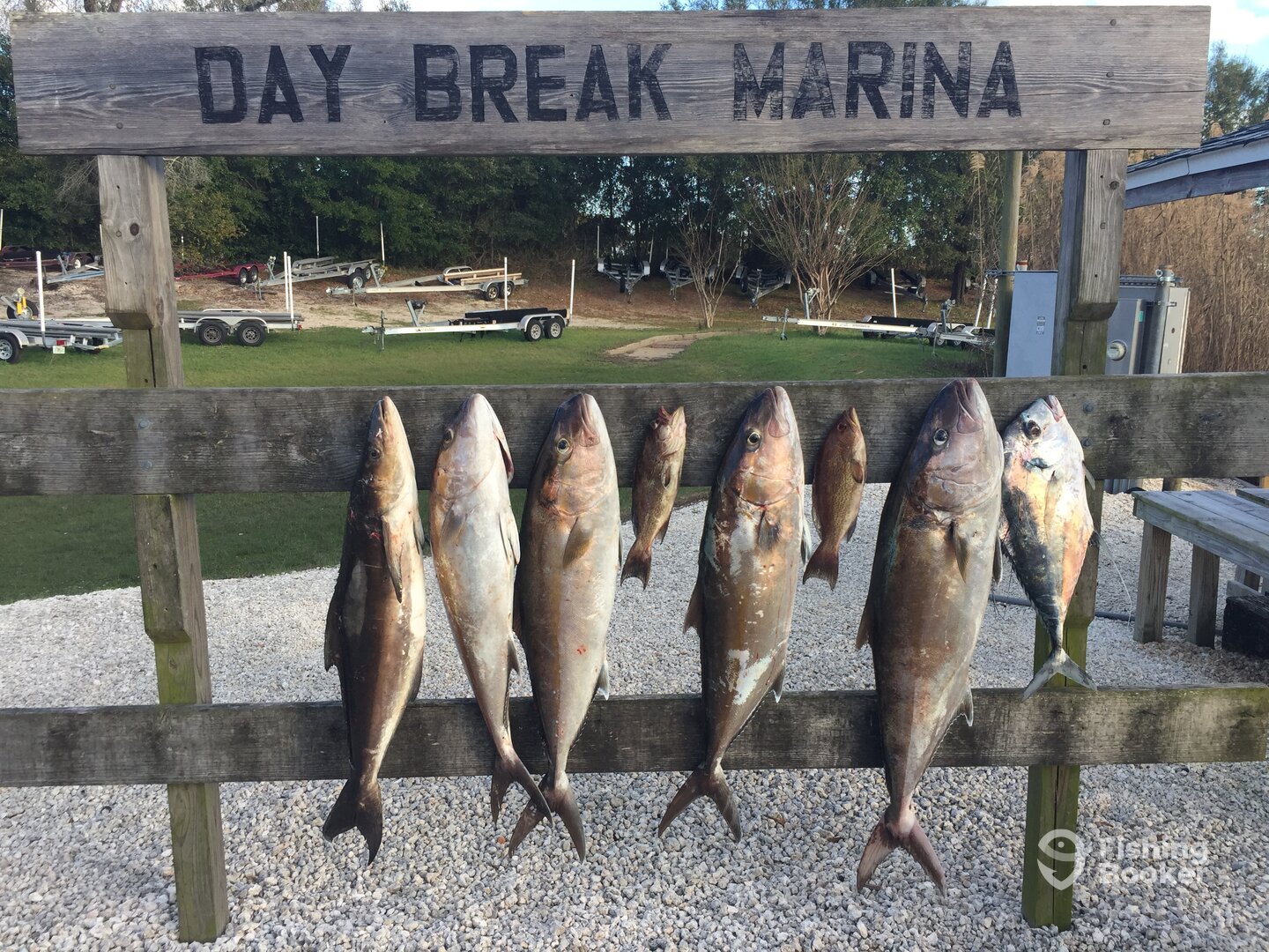 Pensacola Report Photo 0