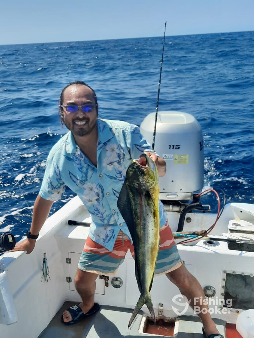 San Jose del Cabo Report Photo 0