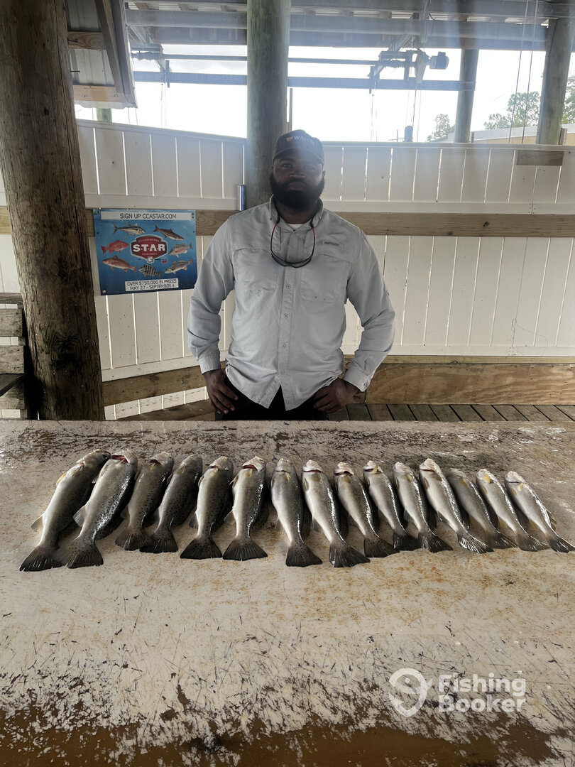 St. Bernard Report Photo 0