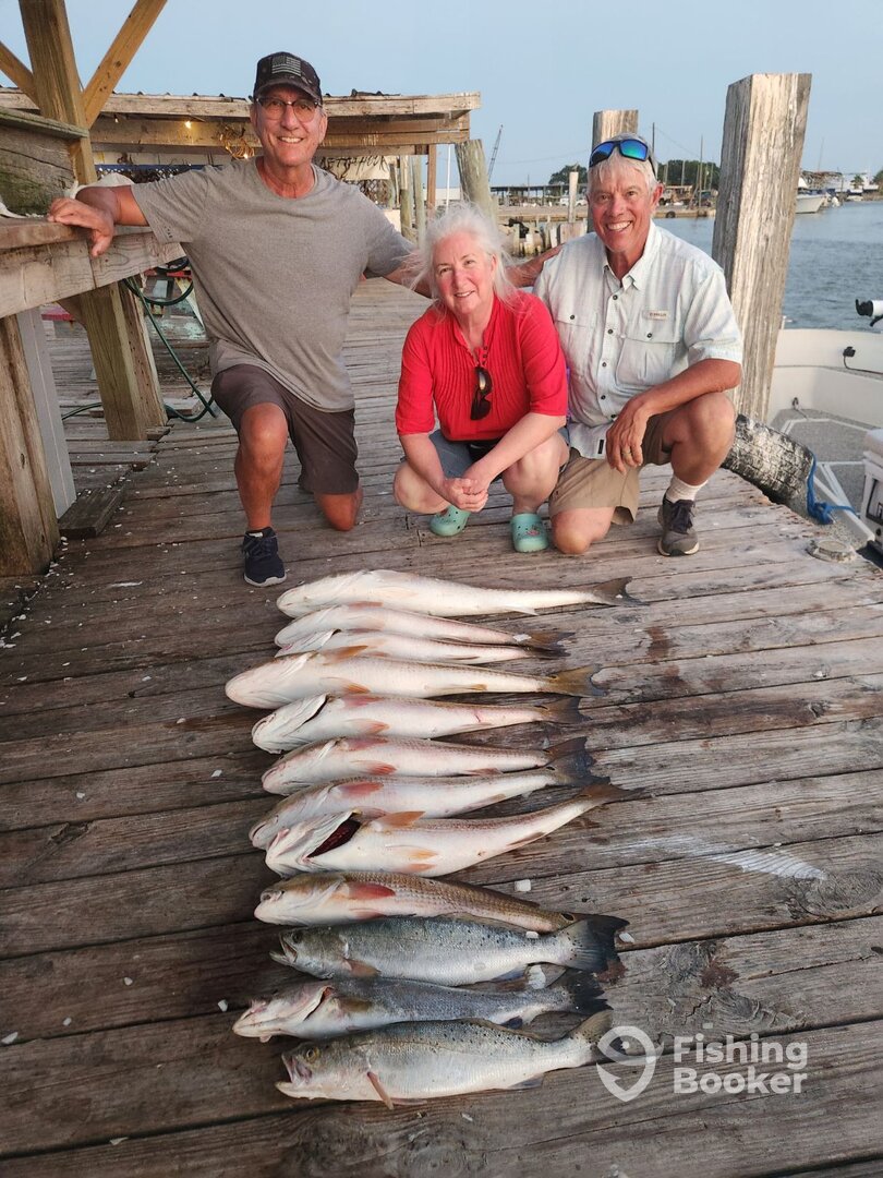 Galveston Report Photo 0