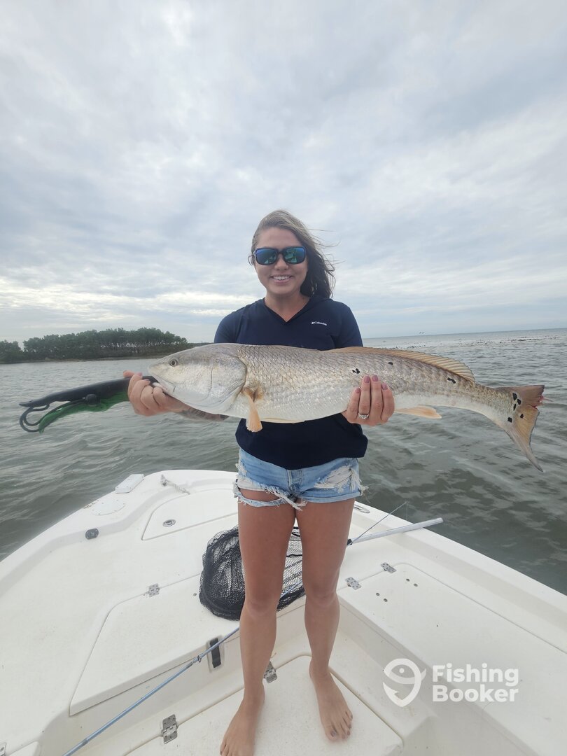 Cedar Key Report Photo 0