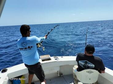 San Jose del Cabo Report Photo 1