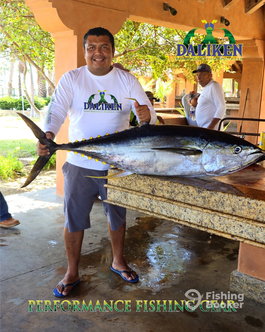 San Jose del Cabo Report Photo 0