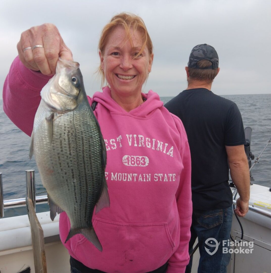 Fairview Report Photo 0