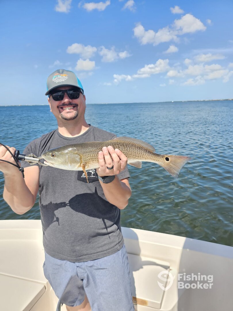 Sarasota Report Photo 0