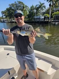 Sarasota Report Photo 1