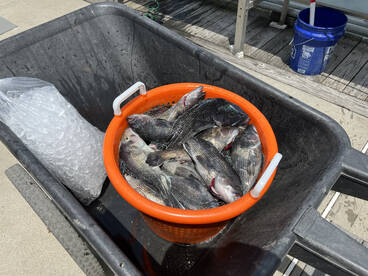 Point Pleasant Beach Report Photo 1