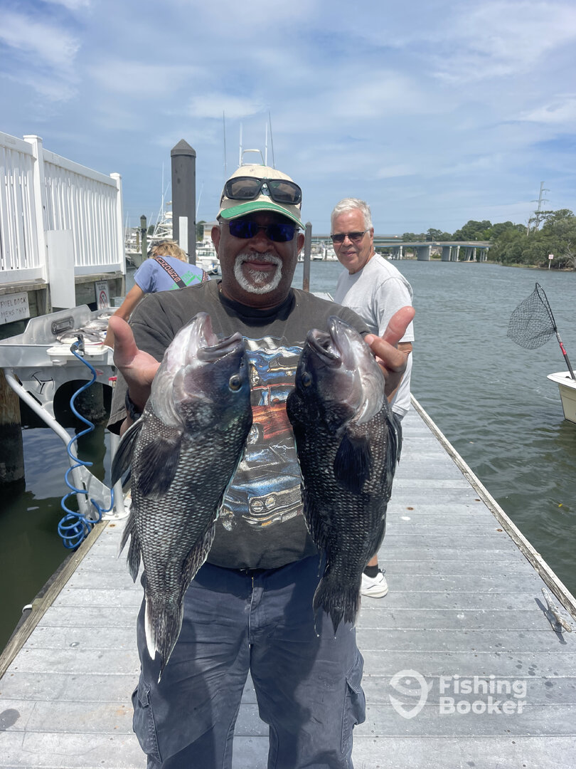 Virginia Beach Report Photo 0