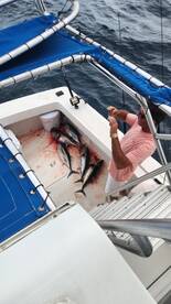 Panama City Report Photo 2