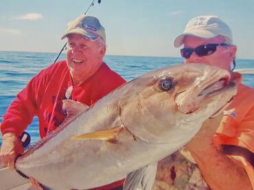 Another nice Amberjack