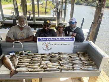 St. Bernard Report Photo 1