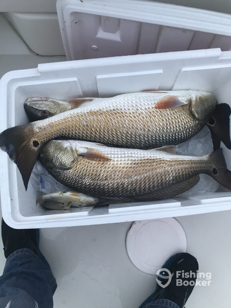 Crisfield Report Photo 0