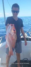 5 kg Large Mouth Nannygai