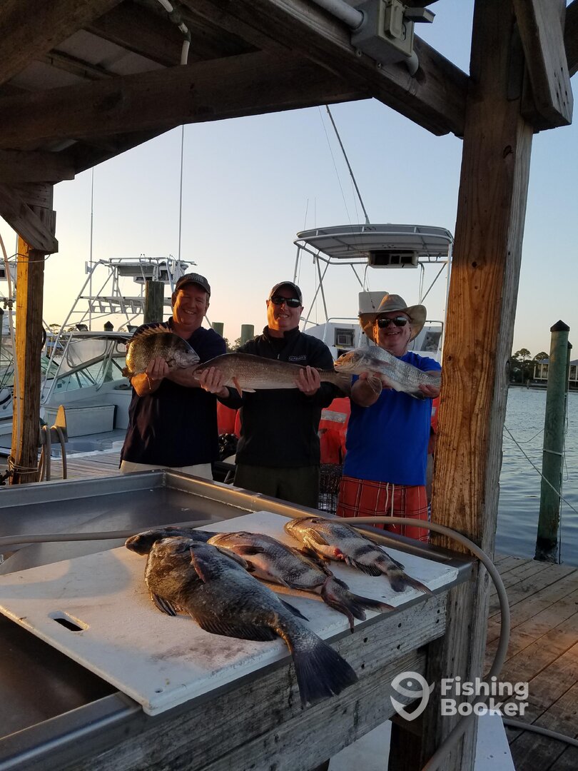 Orange Beach Report Photo 0