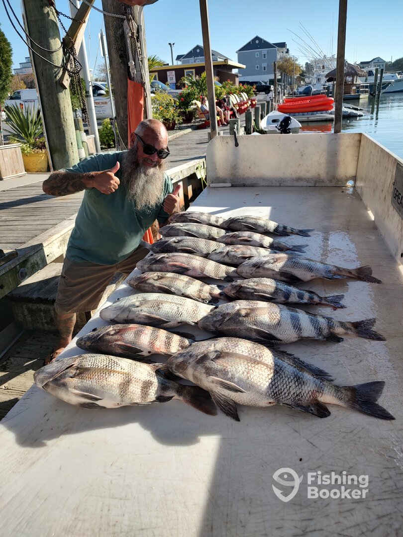 Ocean City Report Photo 0