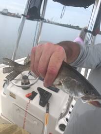 Another Charleston day